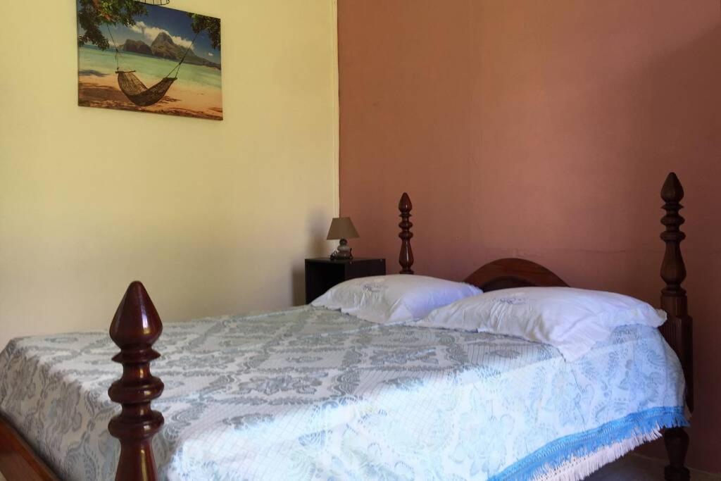 Logement En Pleine Verdure Tropicale -10 Min Plage モルヌ・ルージュ村 エクステリア 写真