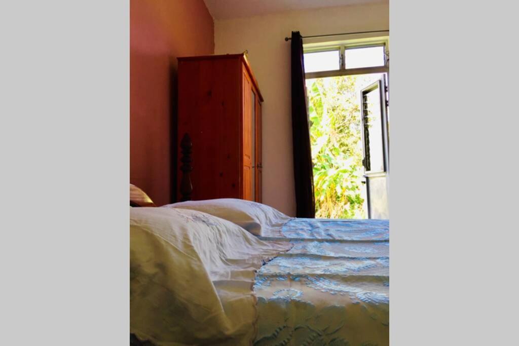 Logement En Pleine Verdure Tropicale -10 Min Plage モルヌ・ルージュ村 エクステリア 写真