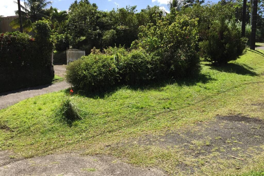 Logement En Pleine Verdure Tropicale -10 Min Plage モルヌ・ルージュ村 エクステリア 写真